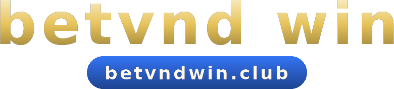 betvnd win logo